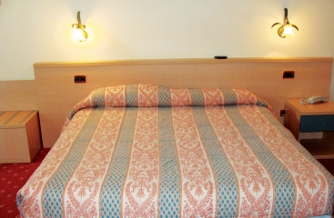 Hotel Delle Alpi ****