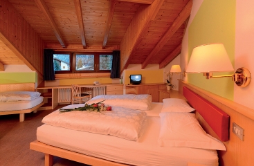Alpin Haus Smart & Family Hotel **