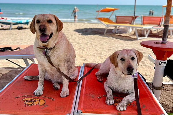 Psí pláž La Spiaggia di Pluto