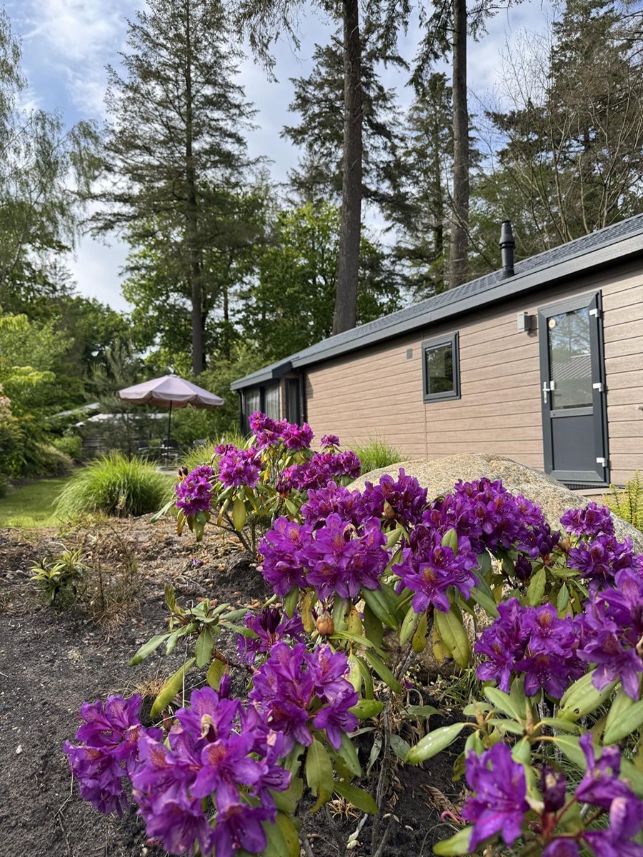 EuroParcs De Utrechtse Heuvelrug