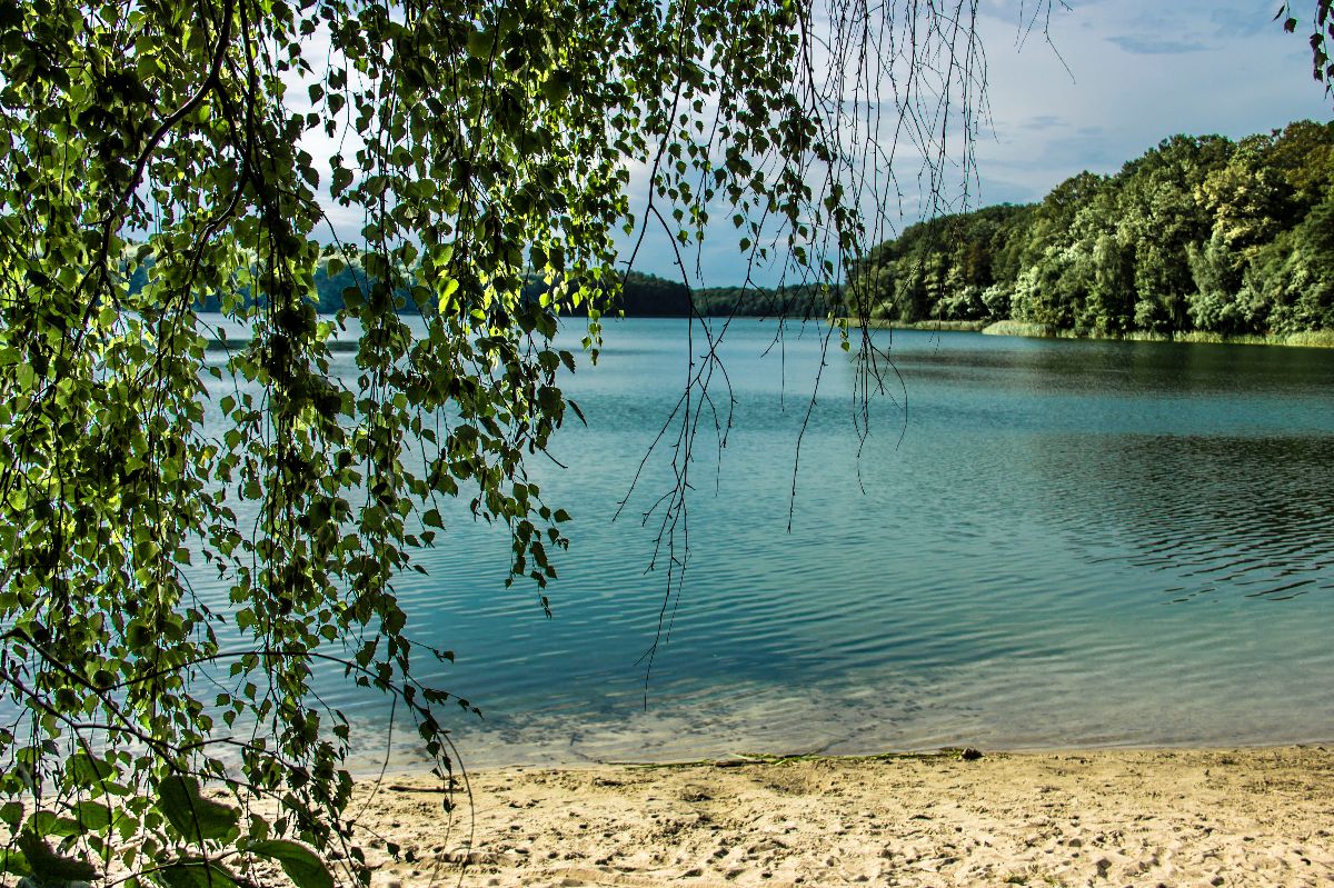 Velkopolský národní park