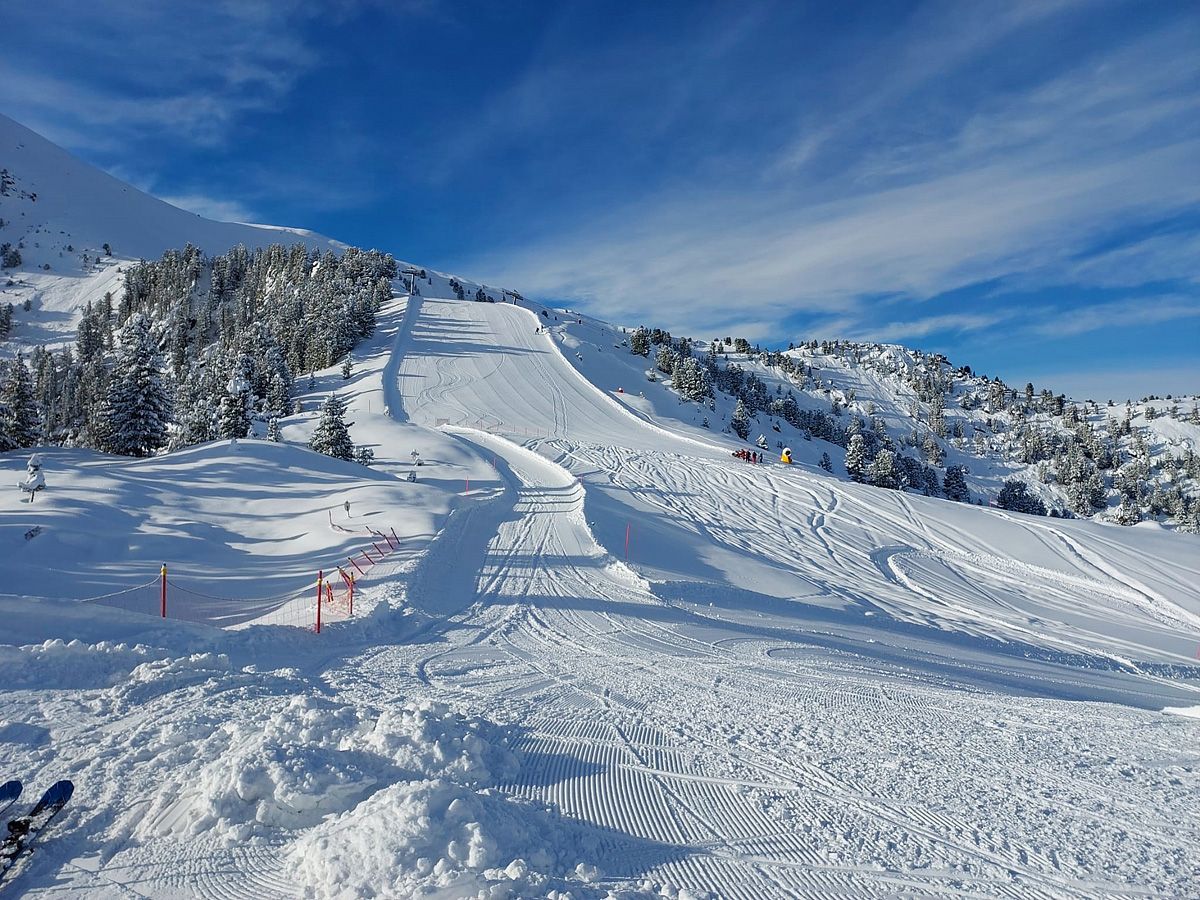 Val di Fiemme