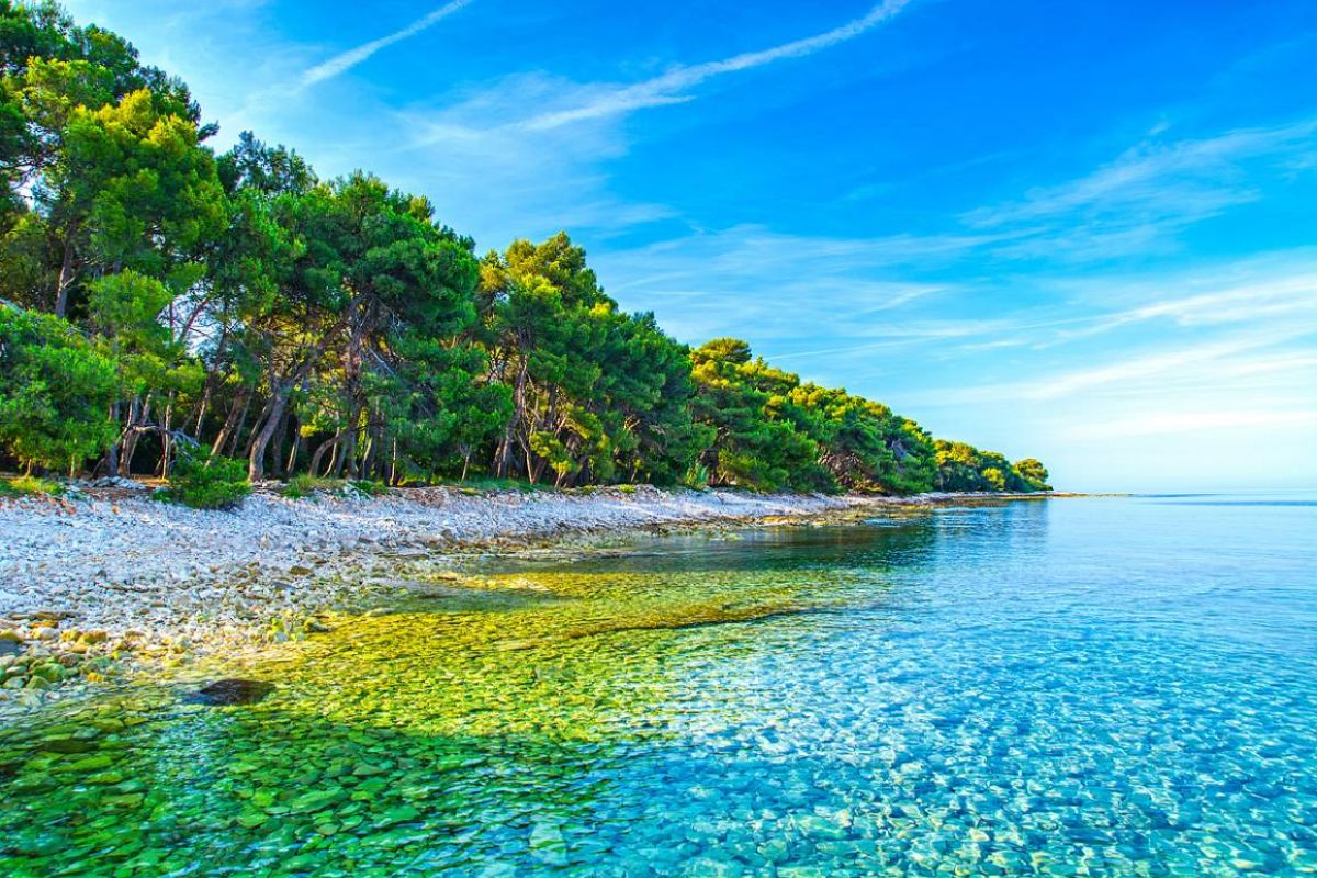 Barbariga beach