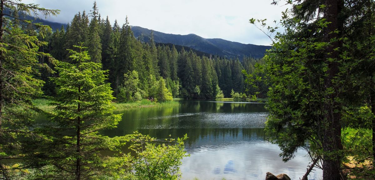 Vrbické pleso