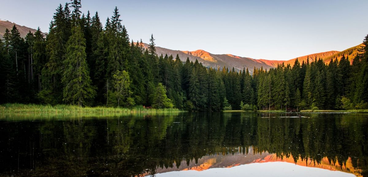 Vrbické jezero