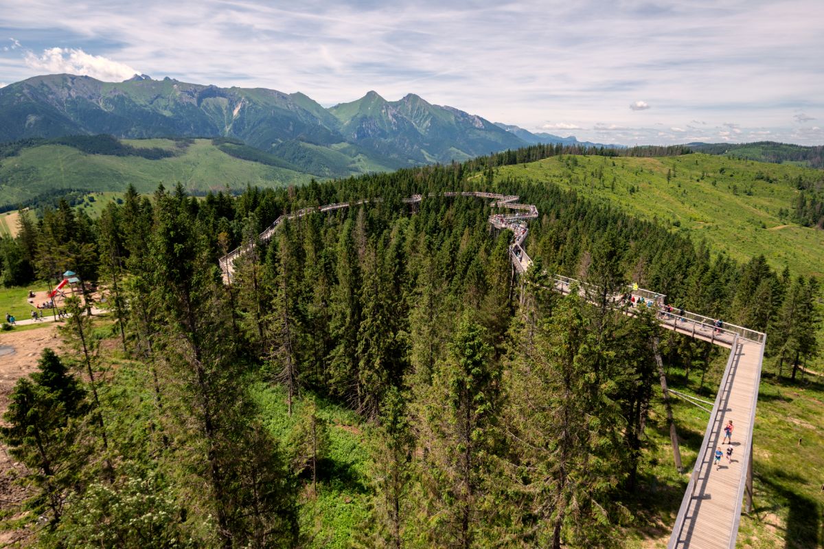 Chodník v korunách stromov Bachledka, v pozadí Vysoké Tatry Chodník v korunách stromov Bachledka, v pozadí Vysoké Tatry