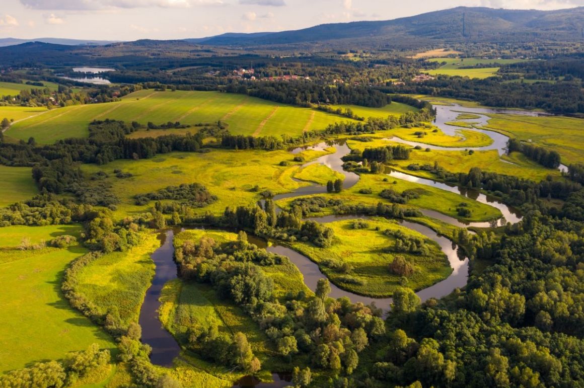 Šumava